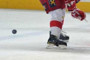 Smlouvu v NHL podepsalo 13 hokejistů a za to české kluby získají téměř 54 milionů korun Smlouvu v NHL podepsalo 13 hokejistů a za to české kluby získají téměř 54 milionů korun