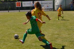 Částky pro sportovní svazy nejsou podle České unie sportu v souladu s veřejnými přísliby MŠMT Částky pro sportovní svazy nejsou podle České unie sportu v souladu s veřejnými přísliby MŠMT